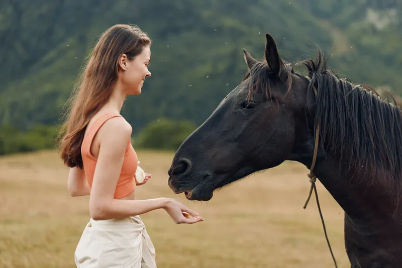 A young woman stands in an open field, offering a gentle touch to a calm horse. The scene communicates trust, tranquility, and a quiet countryside connection.