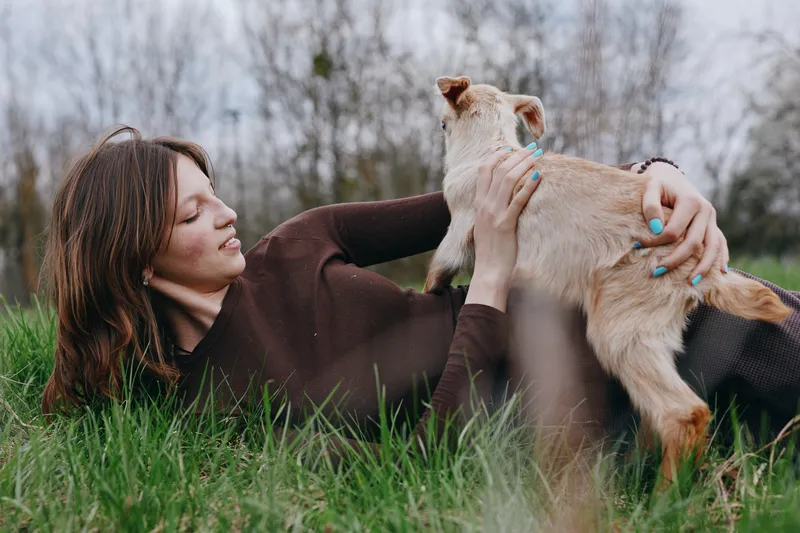 Young woman with long brown hair lies on green grass holding a small baby goat in a casual sweater enjoying a peaceful outdoor moment in early spring nature.