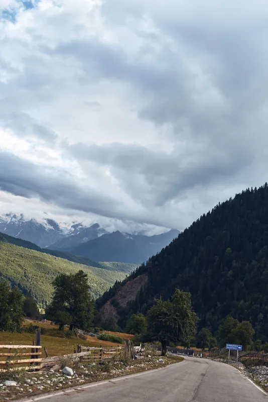 Mountain road valley clouds forest