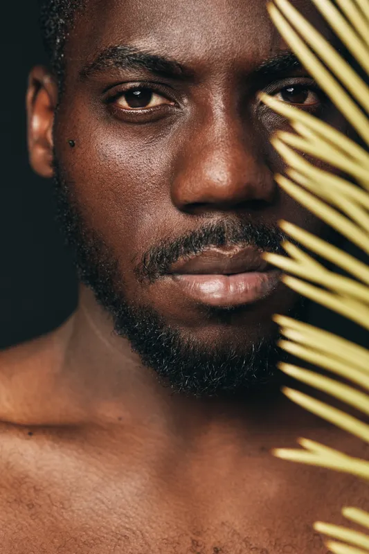 African man with dark skin and beard in creative conceptual visual style closeup portrait with palm leaf on black background for artistic expression and natural beauty.