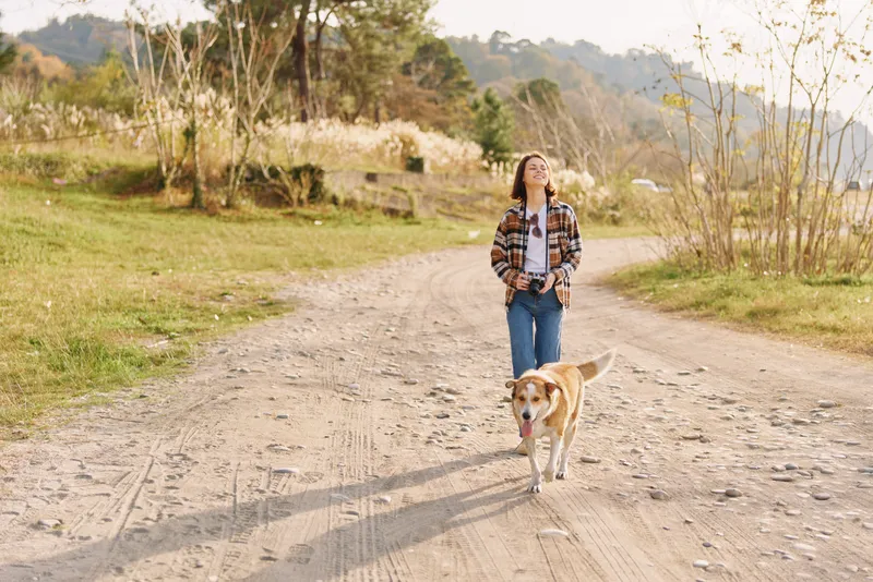 A woman and her dog walk along a dirt path in a sunny countryside setting, wearing a plaid shirt and jeans, as they move through an open field and trees in a peaceful outdoor moment.