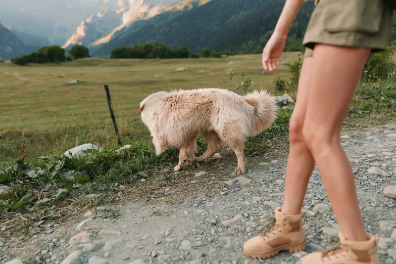 Young woman wearing hiking boots and shorts walks on a rocky trail with a fluffy dog in a mountainous countryside during a sunny day.