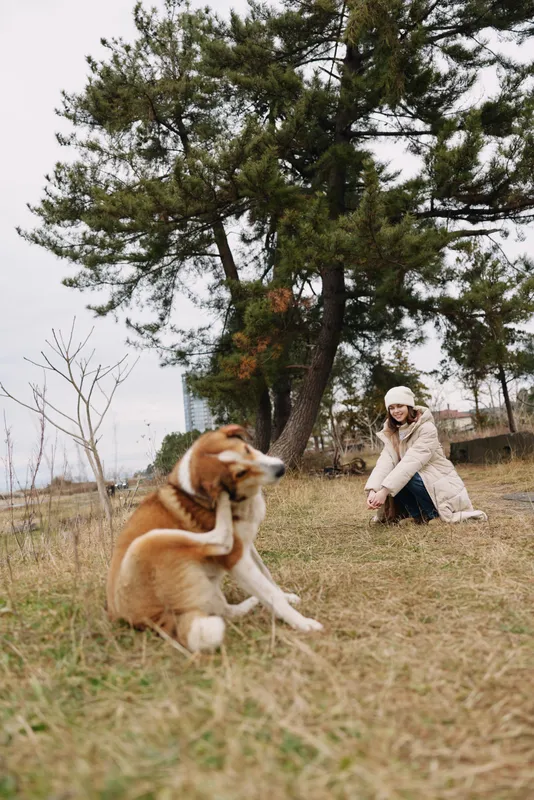 Outdoor scene with a woman in a coat and hat kneeling beside a playful dog in a grassy field under tall trees on a calm daytime with natural light and gentle mood.