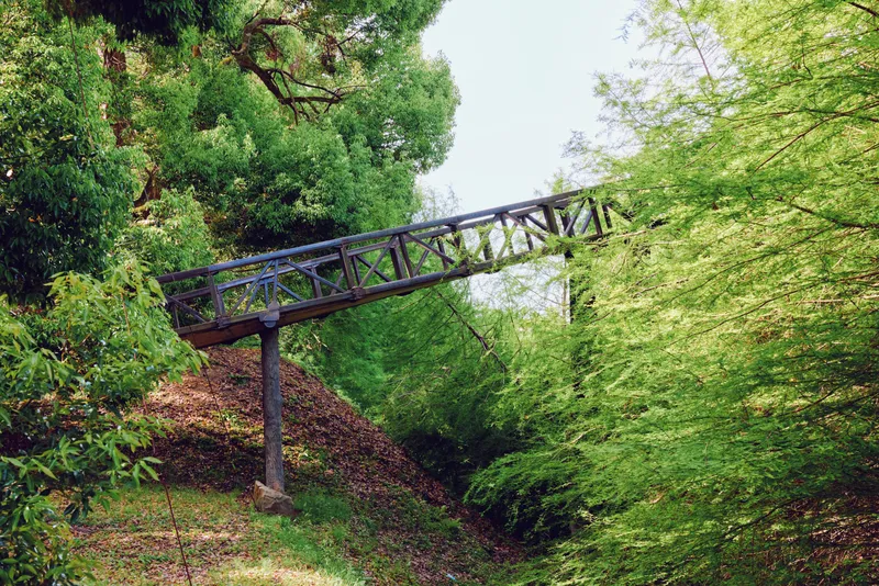 bridge footbridge forest walkway trees greenery foliage nature: metal pedestrian crossing over a small ravine surrounded by lush canopy, mossy slope and serene park landscape