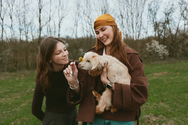 Two young women enjoy a spring day outdoors as one holds a small goat and the other offers it a yellow flower with smiles and relaxed casual outfits.