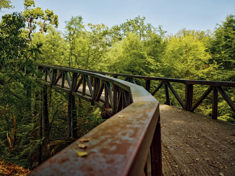 Bridge walkway with rusted metal railing curving through dense green forest trees, elevated path over woodland canopy, wooden planks and structural beams form a scenic nature trail.
