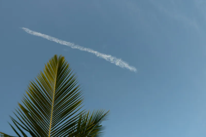 A tropical outdoor scene features a palm frond in the foreground and a clear blue sky with a white contrail, conveying calm, simplicity, and leisure on a sunny day.