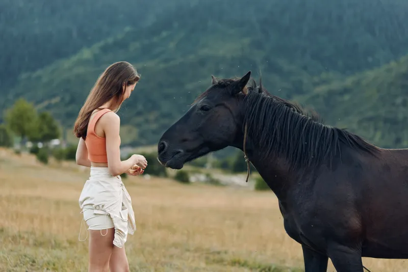 A young woman stands in a grassy pasture facing a black horse. She offers a treat with calm focus, creating a gentle, intimate rural moment filled with trust and care.