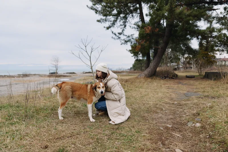 Dog and person kneeling on a windy shoreline, sharing a calm moment in a cold coat. Outdoor scene with trees, sand, and water, highlighting companionship and gentle contact between human and canine.