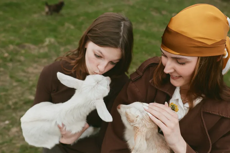 Goat, kid, women, interaction, outdoor, care, warmth, affection, livestock, scene shows two women gently touching a white goat kid in a sunlit farm yard, capturing everyday farming life and animal