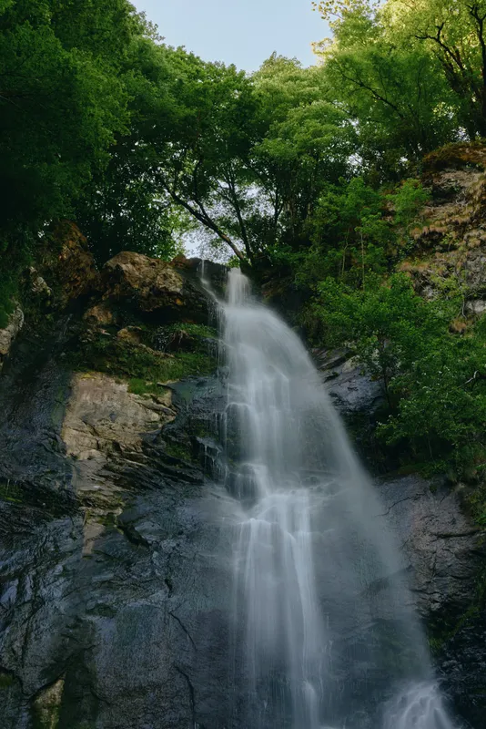 Waterfall cascading down rocky cliff surrounded by green trees and natural forest environment in serene outdoor landscape setting.