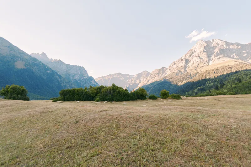 Meadow, mountains, field, landscape, sky, nature, grass, trees. Wide open grassy meadow with low shrubs and distant rocky mountains under clear pale blue sky, peaceful outdoor scenery.
