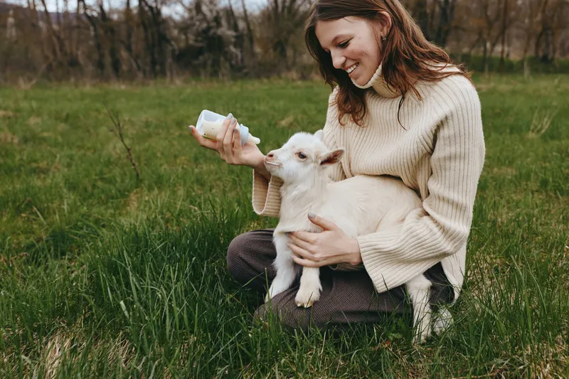 Goat kid feeding scene with a joyful woman outdoors, bottle in hand, sunlit meadow, warm natural tones, relaxed posture, tender moment highlighting nurture and nature