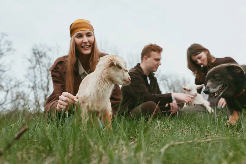 Young woman with a brown hat smiles while petting a white baby goat in a grassy field with two other adults and a dog nearby enjoying a casual outdoor moment.