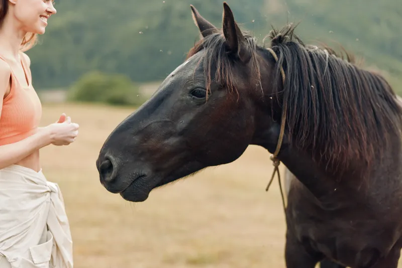 A cheerful person interacts with a horse in an open field. The scene conveys friendliness and calmness, highlighting connection and trust between human and animal.