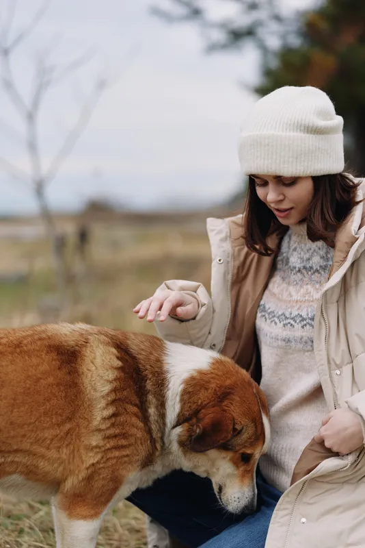 Dog, woman and outdoor moment of affection as she pets a large dog in a chilly field, cozy jacket and knit hat creating a warm, natural scene with gentle light