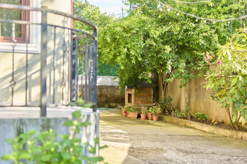 Bright outdoor courtyard with greenery and potted plants, sunlit patio, stone pathway, and a calm home garden scene in a residential setting, inviting relaxed lifestyle vibes