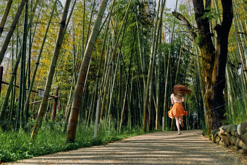 Bamboo woman path forest running dress nature sunlight. A woman in an orange skirt runs along a shaded gravel path through tall bamboo, motion and peaceful green scenery on a summer day.