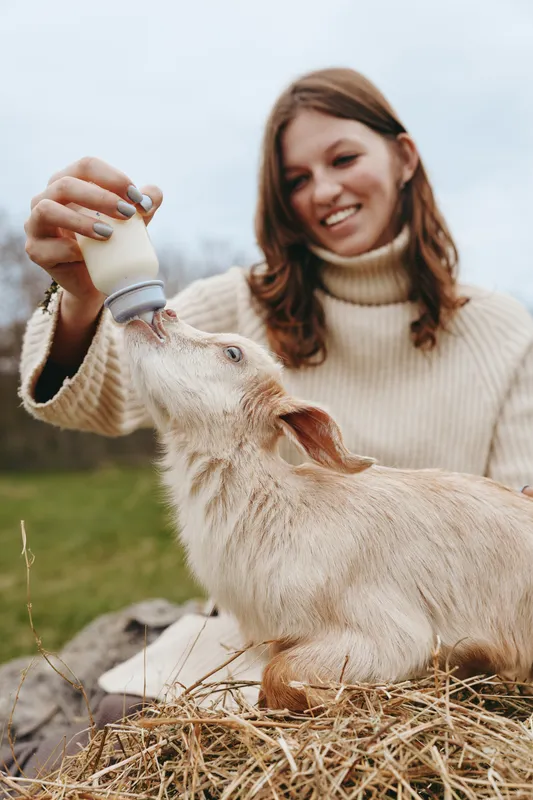Smiling woman in a knit sweater bottle feeds a goat kid in an outdoor setting. Closeup on straw and soft natural light, capturing lifestyle, care, and bonding with farm animals.