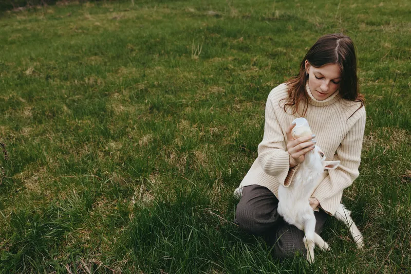 Cheerful woman outdoors, cradling a goat kid in a sunlit meadow, cozy sweater, relaxed posture, natural colors, gentle breeze, tender connection, serene rustic backdrop