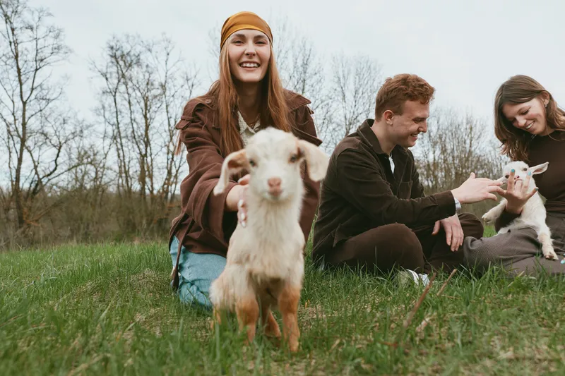 A cheerful group enjoys a sunny day on a field, with a playful goat kid approaching the camera. A candid lifestyle moment showing bonding, exploration, and gentle animal interaction.
