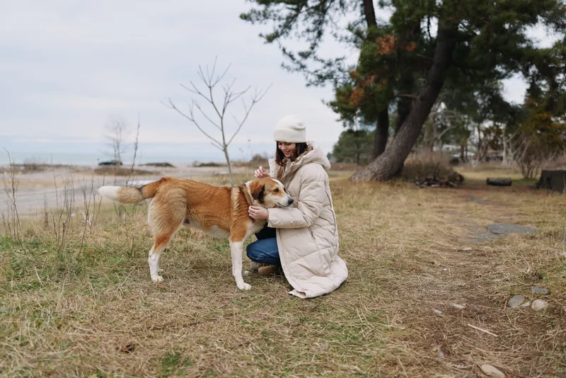 Woman in a warm coat kneels to pet a dog by a lakeside, autumnal scene with bare trees, open space, and soft natural light, capturing calm companionship and gentle bond outdoors.