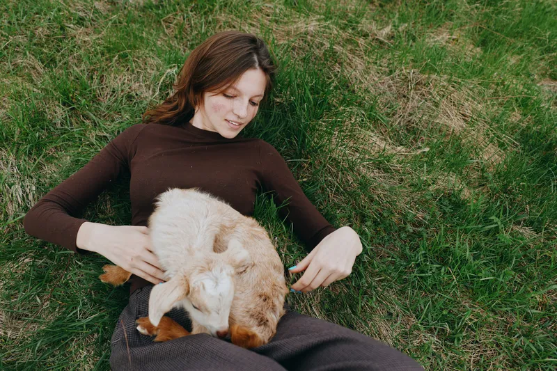 A woman in a brown sweater lies on green grass while cradling a gentle goat kid, enjoying a peaceful outdoor moment. This lifestyle scene emphasizes bonding with animals and simple, natural calm.