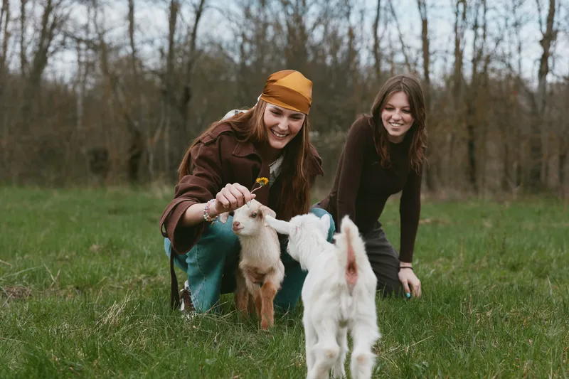 Two cheerful young women interact with a friendly goat in a green meadow, feeding and playing, capturing a bright countryside lifestyle moment, with smiles and relaxed outdoor companionship.