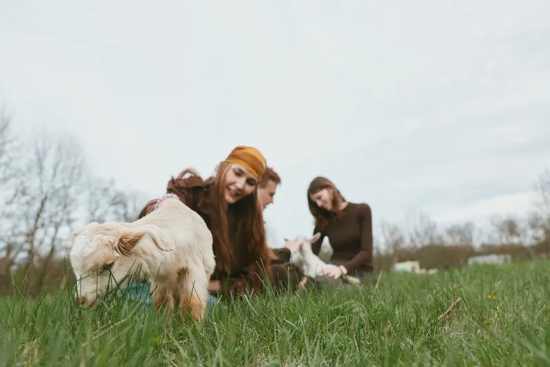A group of people outdoors with playful goat kids in a grassy field, capturing a casual farm lifestyle moment. Bright natural light highlights joyful interaction, simple country life, and gentle