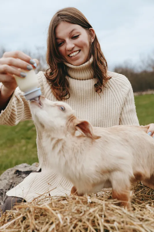 Smiling woman in a knit sweater bottle feeds a kid goat outdoors, daytime. Warm natural scene highlighting lifestyle, bonding, care between human and animal in a rural setting. A cozy moment of