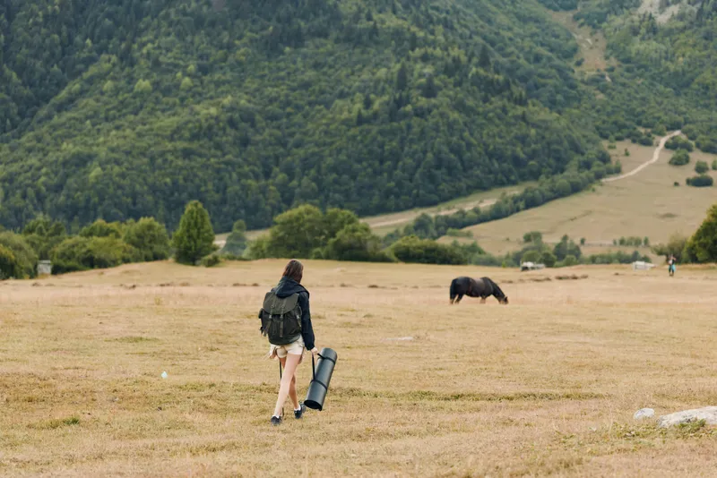 A lone traveler walks across a wide meadow in a rural landscape, carrying a backpack and a guitar case, heading toward distant hills under a bright sky.