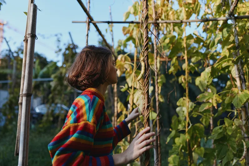 Young woman in early 20s wearing a colorful striped sweater, short brown hair, contemplative and touching a garden trellis vine while leaning in an urban backyard at golden hour.