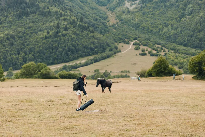 A lone traveler with a guitar case walks across a wide grassy field. Cows graze nearby while distant hills rise, creating a calm rural scene with open space and soft morning light.