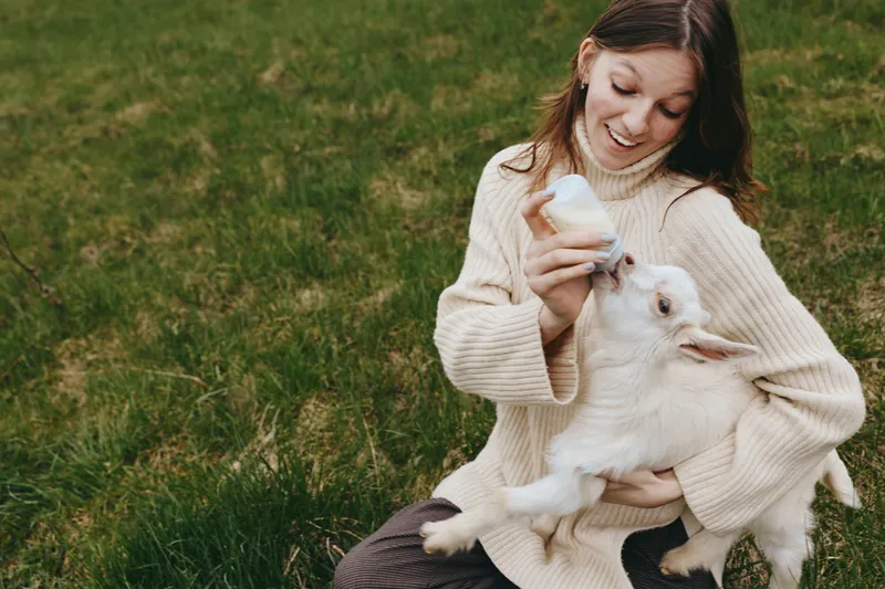 Joyful woman outdoors feeding a goat kid, wearing a cozy sweater, in a sunlit meadow, relaxed posture, soft breeze, natural colors, rural charm, tender bond