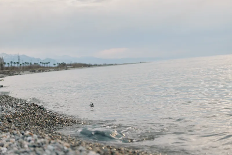 Calm sea waves gently touch the pebbled beach under cloudy sky at dusk. The tranquil coastal scene conveys peace, nature, and relaxation with distant mountains and soft light.