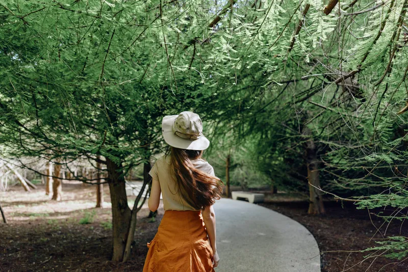 Woman walking on forest path wearing hat and orange skirt, back view on winding trail surrounded by green trees and canopy, serene nature scene for outdoor leisure.