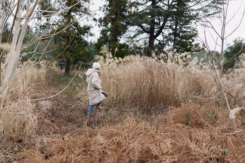 Person in a winter coat walks through tall dried grasses in a field, with bare trees in the background, creating a calm, solitary outdoor scene of nature and quiet exploration.