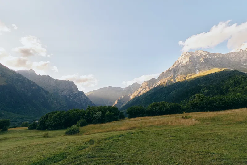 Sunny mountain landscape with green grassy meadow and forest under blue sky with clouds, peaceful natural scenery in summer, wide view of alpine environment.
