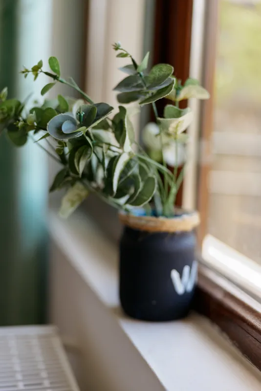 Close-up of a leafy plant on a sunlit windowsill, emphasizing home lifestyle and cozy decor. A simple natural scene highlighting greenery, calm mood, and everyday wellness.