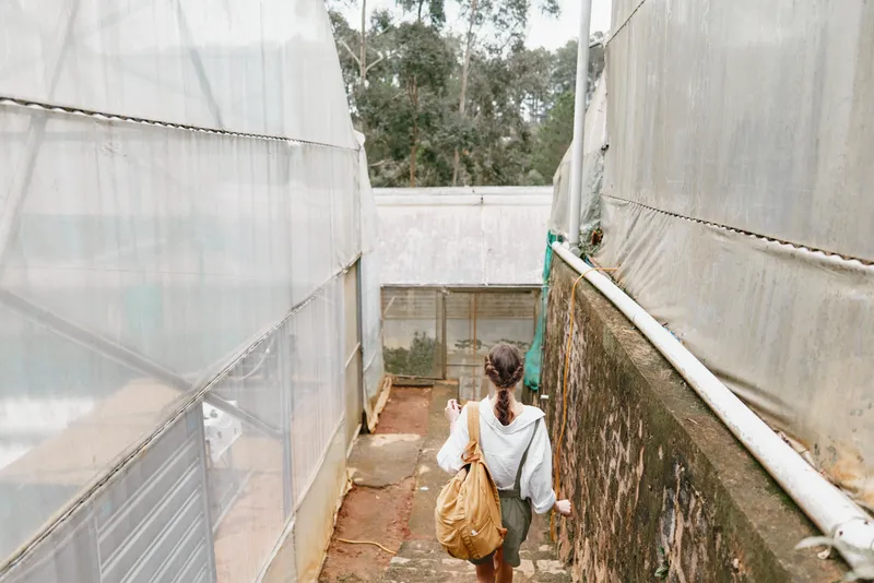 A young woman walking through a greenhouse, wearing a casual outfit, showcasing a contemplative expression, surrounded by greenery and natural light