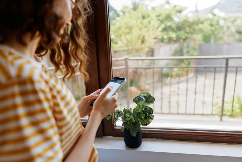Young woman with curly hair in a striped shirt sits by a window at home, looking at her smartphone, a potted plant on the sill, creating a calm, everyday moment.