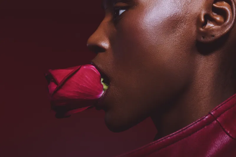 Close-up of a dark skinned African woman with smooth skin holding a red rose in her mouth against a dark red background. Concept of beauty, elegance, and floral expression.