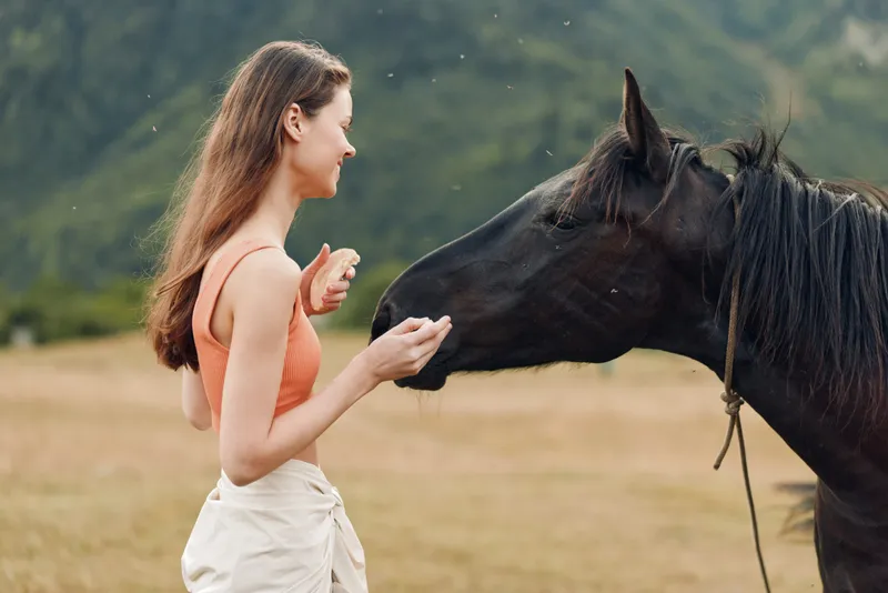 A young woman in casual attire stands in a wide open field, smiling as she gently greets a horse. The scene conveys calm connection with nature and companionship.