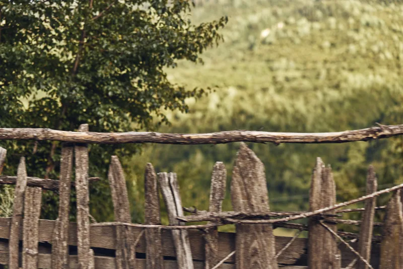 Rustic fence wood posts in a countryside landscape, nature scene in a rural outdoors setting with weathered panels, moss, and sunlight filtering through trees