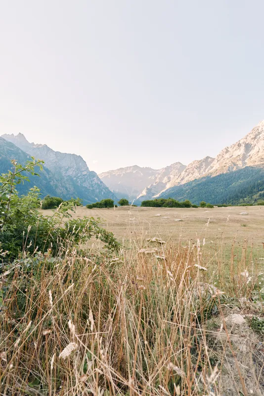 Meadow grass mountains valley landscape nature sky summer. Wide alpine meadow with dry tall grasses and scattered shrubs, distant rugged mountain range under a clear pale blue sky.