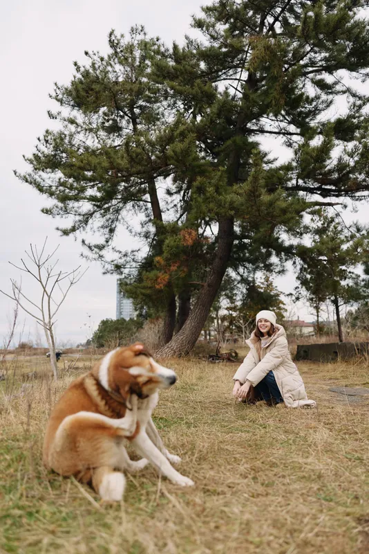 Dog and owner enjoy a park moment, outdoor companionship in a calm scene with a friendly canine, grassy field and distant city skyline, a serene lifestyle moment