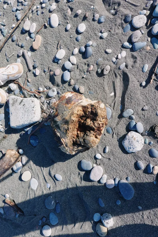 Pebbles, stones, beach, sand, rocks, shadow scattered across a sandy shore with a hollow rock and driftwood, captured in a closeup that highlights texture and natural coastal details