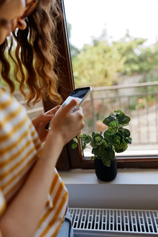 Woman using smartphone by a sunny window, plant on sill, striped shirt, cozy home lifestyle scene, casual calm moment, natural light enhancing warmth and focus in a serene interior.