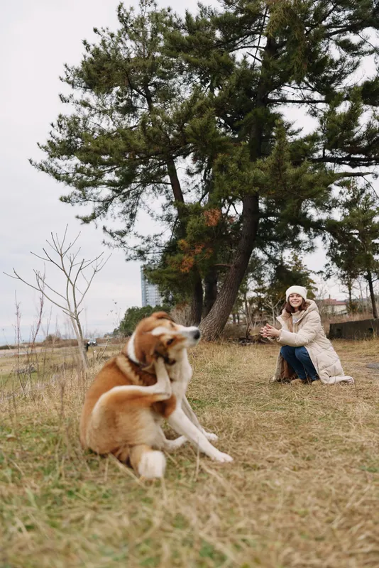 Dog resting in a grassy park while a woman crouches nearby with a camera, capturing a candid moment of companionship in nature, with trees, wind, and soft daylight.