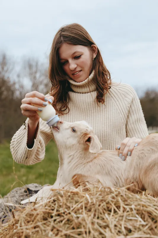 A young woman in a knitted sweater feeds a baby goat with a bottle in a rural yard, bright natural light and hay nearby create a wholesome farming lifestyle moment